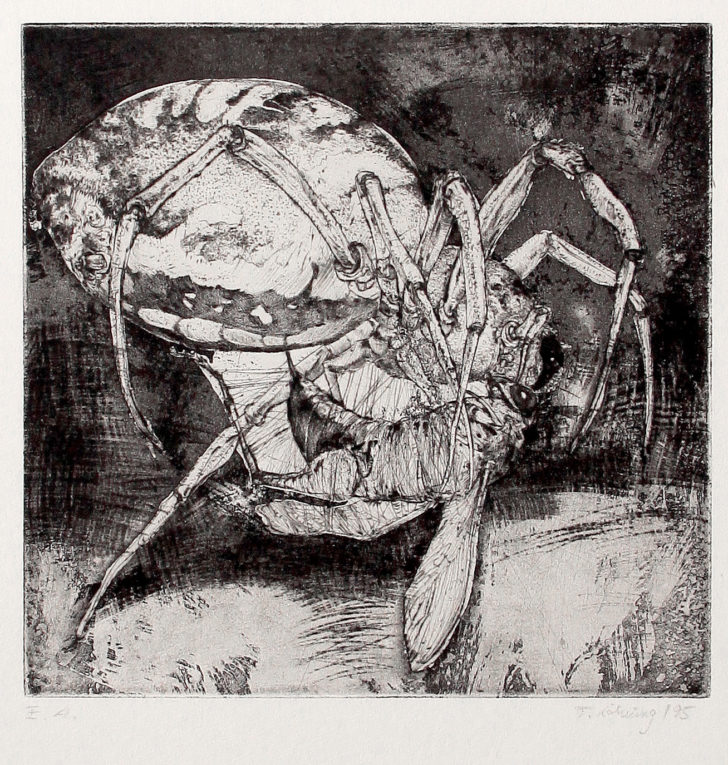 Thomas Löhning, Spinne und Grashüpfer, 20x19,7 cm, 1995, Radierung
