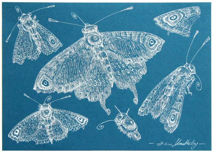 Thomas Löhning, Zum Schmetterling, 21x29,7 cm, Tusche