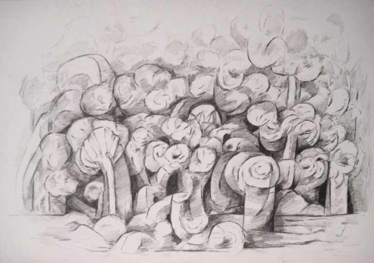 Marten Kirbach, Pflanzung II, 21x29,5 cm, 2013, Graphit auf Papier